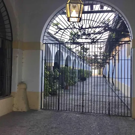 Appartamento Loft Bodega San Blas Con Porche Y Parking