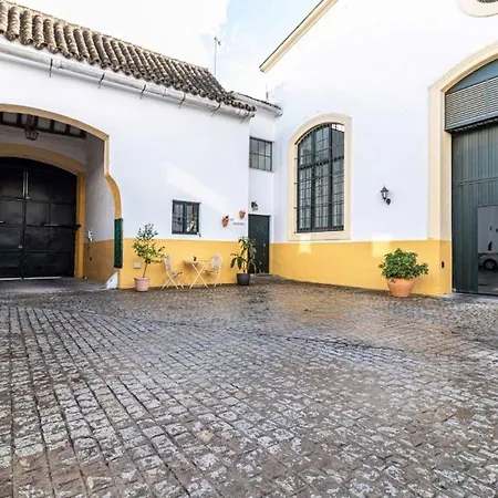 Apartmán Loft Bodega San Blas Con Porche Y Parking