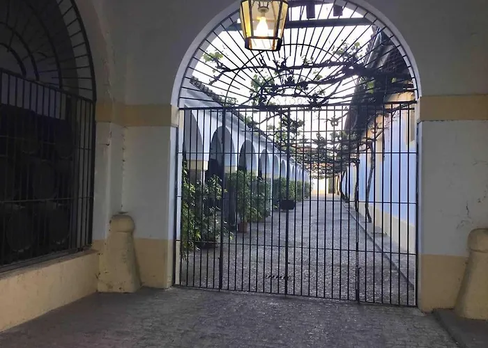 Apartmán Loft Bodega San Blas Con Porche Y Parking